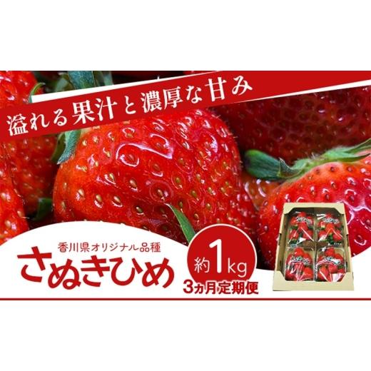 ふるさと納税 いちご 香川県 東かがわ市   香川讃岐の毎月食べたい定期「さぬきひめいちご 1kg」3ヶ月定期便