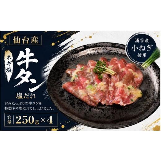 ふるさと納税 牛肉 タン 宮城県 涌谷町 成型牛たんネギ塩味(涌谷産小ねぎ使用) / 牛タン 焼肉 たん 和牛 牛 タン BBQ tontaro002