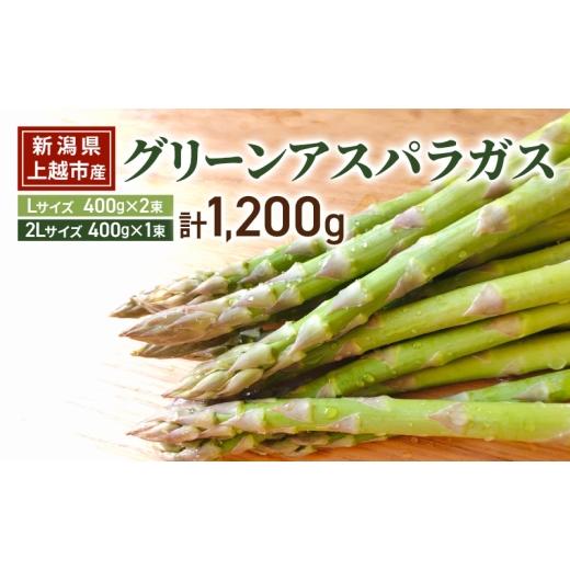 ふるさと納税 野菜類 アスパラガス 新潟県 上越市 新潟県上越市産 横山農園 グリーン アスパラガス Lサイズ400g×2束 |2Lサイズ 400g×1束 計1,200g