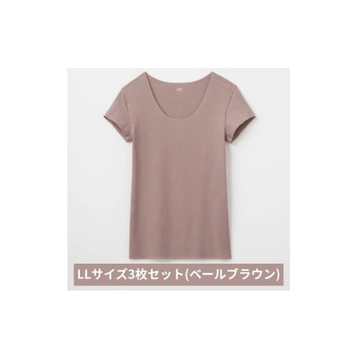 ふるさと納税 服 男 京都府 宮津市 グンゼ YG in.T カットオフクルーネックTシャツ YV1577Q LLサイズ ベールブラウン 3枚セット GUNZE ファッション インナー…