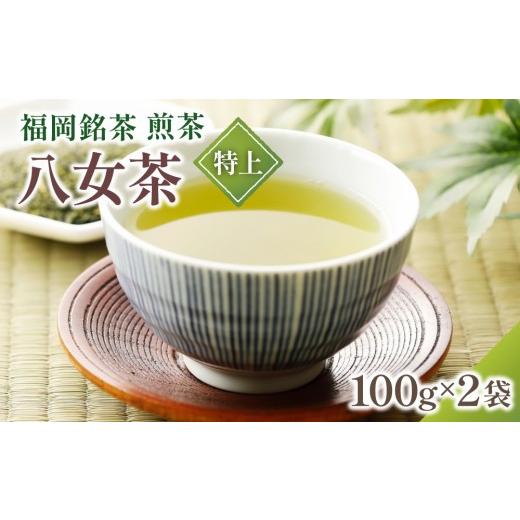 ふるさと納税 お茶類 緑茶(茶葉・ティーバッグ) 福岡県 那珂川市 八女茶 特上 煎茶セット 100g×2袋 通常配送