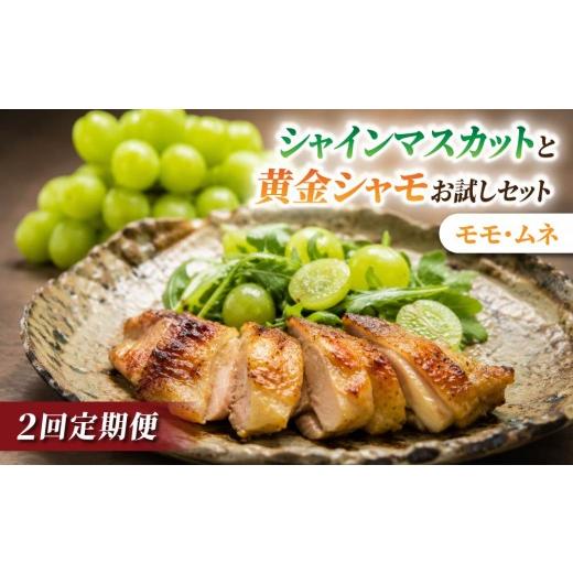 ふるさと納税 ぶどう マスカット 長野県 東御市 2回定期便 とうみの名産定期便(シャインマスカット2房/信州黄金シャモ ムネ・モモセット700g)| JA信州う…