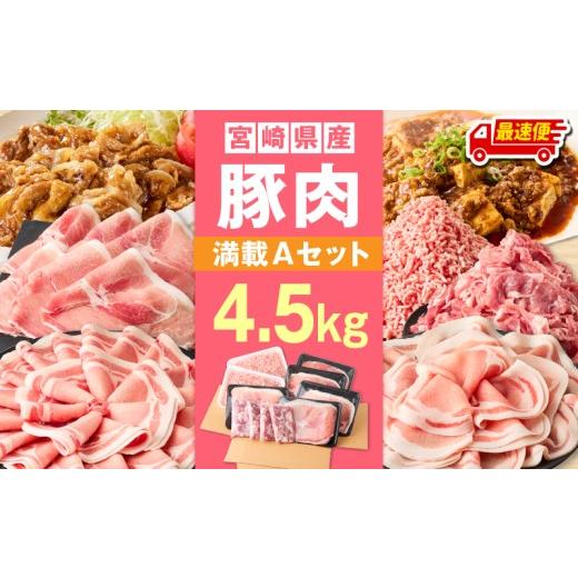 ふるさと納税 豚肉 セット 宮崎県 宮崎市 最速便 宮崎県産豚4.5kg 満載Aセット_M241-021-02-2W 最速便