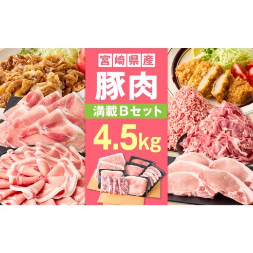 ふるさと納税 豚肉 ロース 宮崎県 宮崎市 宮崎県産豚4.5kg 満載Bセット_M241-021-03 順次発送