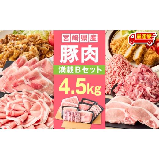 ふるさと納税 豚肉 ロース 宮崎県 宮崎市 最速便 宮崎県産豚4.5kg 満載Bセット_M241-021-03-2W 最速便