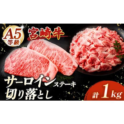ふるさと納税 牛肉 セット 宮崎県 小林市 A5等級宮崎牛 サーロインステーキ・切り落としセット1kg(小林市産 牛肉 和牛 特選 贅沢 厳選和牛 ブランド牛 ギフ…