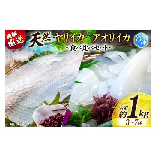 ふるさと納税 イカ 長崎県 平戸市 イカ ヤリイカ アオリイカ 食べ比べ セット 約1kg (3〜7杯) ひばり 長崎県 平戸市 hr42bgy420528 いか 天然 漁師直送 冷凍 …