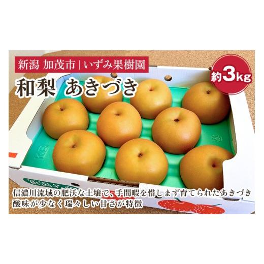 ふるさと納税 梨 新潟県 加茂市 2026年先行予約 いずみ果樹園の和梨 あきづき 約3kg(5〜9玉) [9月中旬〜順次出荷] なし ナシ 日本梨 フルーツ 果物 加茂…