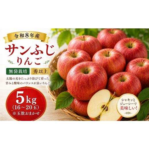 ふるさと納税 りんご 山形県 山形市 山形産 サンふじりんご 5kg(16〜20玉)無袋栽培 秀以上 FY26-172