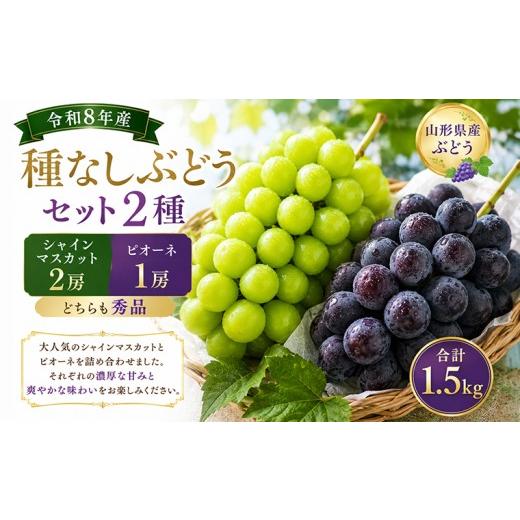 ふるさと納税 果物類 ぶどう 山形県 山形市 山形産 種なしぶどうセット2種 (シャインマスカット2房とピオーネ1房)秀品 合計1.5kg FY26-173