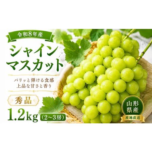 ふるさと納税 果物類 ぶどう 山形県 山形市 山形産 シャインマスカット 秀品 1.2kg(2〜3房) FY26-175