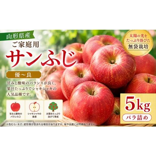 ふるさと納税 りんご 山形県 山形市 ご家庭用 山形産 サンふじりんご 5kg バラ 優〜良 無袋栽培 FY26-176