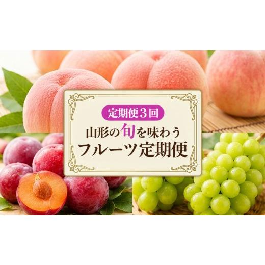 ふるさと納税 もも 山形県 山形市 定期便3回 山形の旬を味わう フルーツ定期便 FY26-178