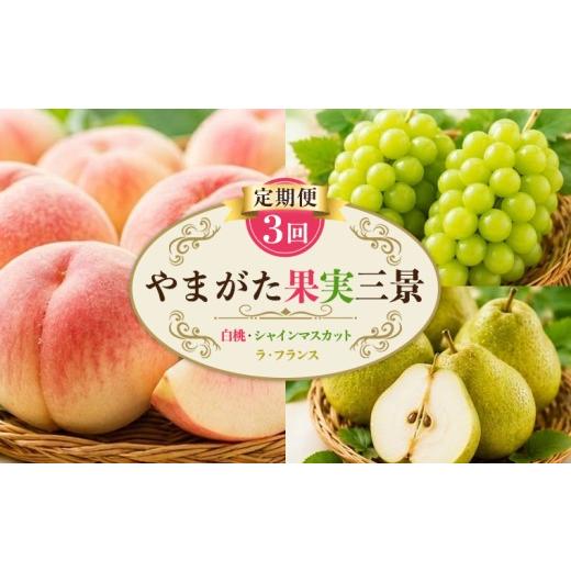 ふるさと納税 もも 山形県 山形市 定期便3回 やまがた果実三景 (白桃・シャインマスカット・ラ・フランス) FY26-179