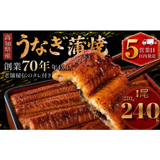 ふるさと納税 加工品等 高知県 南国市 スピード発送 日時指定 可能 高知県産 うなぎ 蒲焼 1尾 | 国産 日本産 うな重 鰻 ウナギ 有頭 蒲焼き かばやき 土用丑…