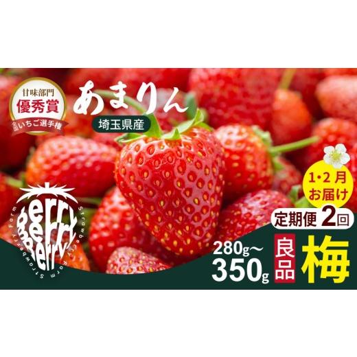 ふるさと納税 いちご 埼玉県 加須市 先行受付 2ヶ月定期便 あまりん梅 (1・2月お届け) 2ヶ月定期便 梅(1・2月お届け)