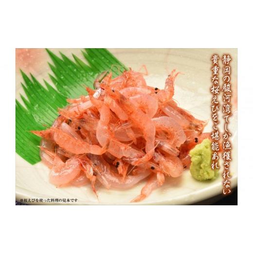 ふるさと納税 エビ 静岡県 静岡市 静岡の海鮮・海産物(魚介類) 駿河湾の海の幸 生桜えび×1 釜揚げ桜えび×1 セット