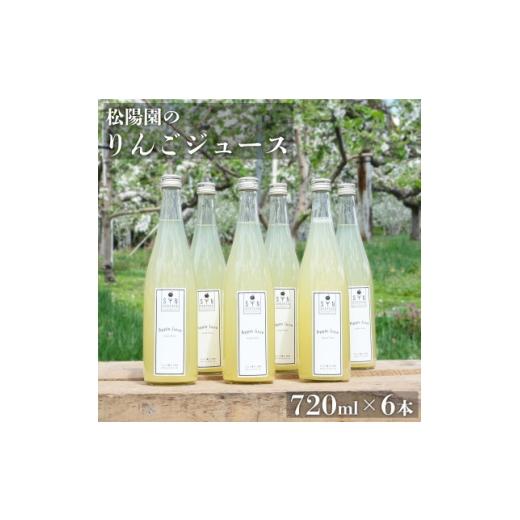 ふるさと納税 果汁飲料 岩手県 遠野市 松陽園 りんごジュース 720ml×6本セット 遠野産りんご100%使用 1511274