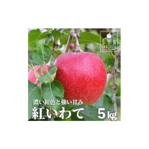 ふるさと納税 りんご 岩手県 遠野市 りんご 紅いわて 5kg 松陽園 樹上 完熟 農家直送 岩手県 遠野市 先行予約 1537041