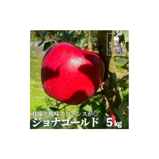 ふるさと納税 りんご 岩手県 遠野市 りんご ジョナゴールド 5kg 松陽園 樹上 完熟 岩手県 遠野市産 農家直送 先行予約 1537047