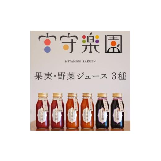 ふるさと納税 果汁飲料 岩手県 遠野市 宮守楽園 ジュース 3種 6本 セット / 宮守川上流生産組合 遠野市 1635004
