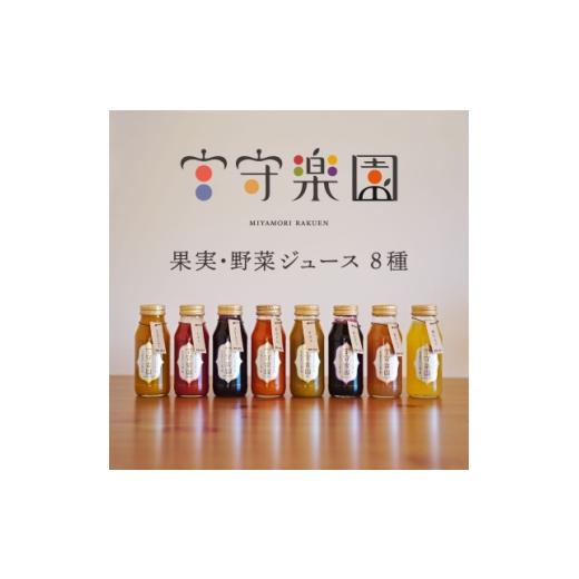 ふるさと納税 果汁飲料 りんご 岩手県 遠野市 宮守楽園 ジュース 8種 合計 8本 セット 宮守川上流生産組合 遠野市 1635008