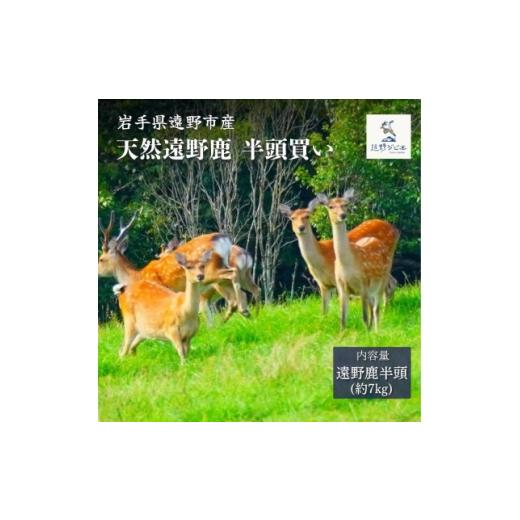 ふるさと納税 鹿肉 岩手県 遠野市 遠野鹿 半頭買い 7kg | 遠野ジビエの里 1655075