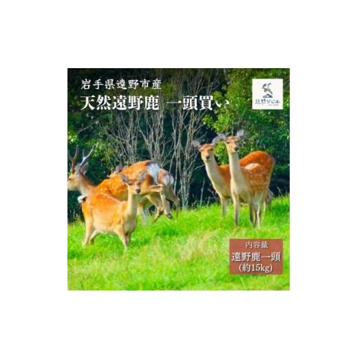 ふるさと納税 鹿肉 岩手県 遠野市 遠野鹿 1頭買い 14kg程度 | 遠野ジビエの里 1655079