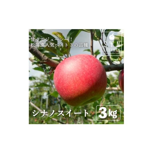 ふるさと納税 りんご 岩手県 遠野市 先行予約 松陽園の樹上 完熟 りんご シナノスイート 3kg 岩手県 遠野市産 農家直送 1698678