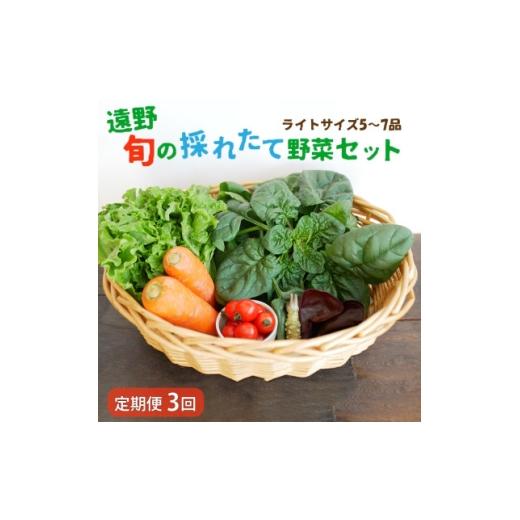 ふるさと納税 野菜類 トマト 岩手県 遠野市 毎月定期便 旬のとれたて野菜セット(5~7品)ライトサイズ こんたでぃーの遠野 全3回 4066184