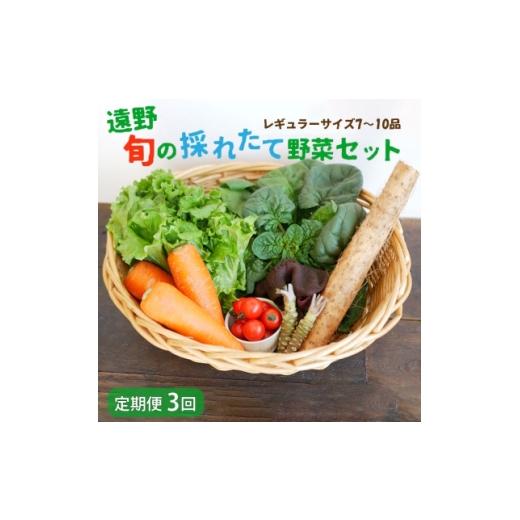 ふるさと納税 味噌 岩手県 遠野市 毎月定期便 旬のとれたて野菜セット(7〜10品)レギュラーサイズ こんたでぃーの遠野 全3回 4066189