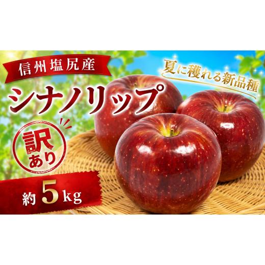 ふるさと納税 りんご 長野県 塩尻市 2026年先行予約 訳あり モモセ果樹園 信州塩尻産 シナノリップ 約5kg | 先行受付 果物 くだもの フルーツ シナノリップ …