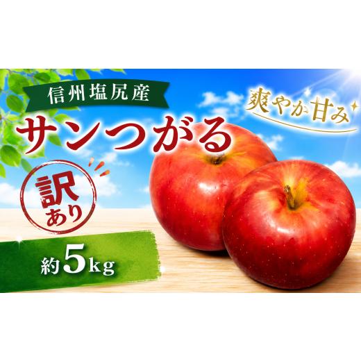 ふるさと納税 りんご 長野県 塩尻市 2026年先行予約 訳あり モモセ果樹園 信州塩尻産 サンつがる 約5kg | 先行受付 果物 くだもの フルーツ サンつがる りん…