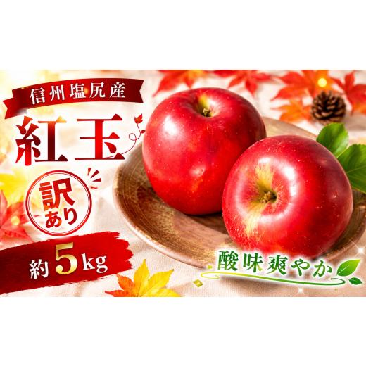 ふるさと納税 りんご 長野県 塩尻市 2026年先行予約 訳あり モモセ果樹園 信州塩尻産 紅玉 約5kg | 先行受付 果物 くだもの フルーツ 紅玉 りんご 林檎 信州…