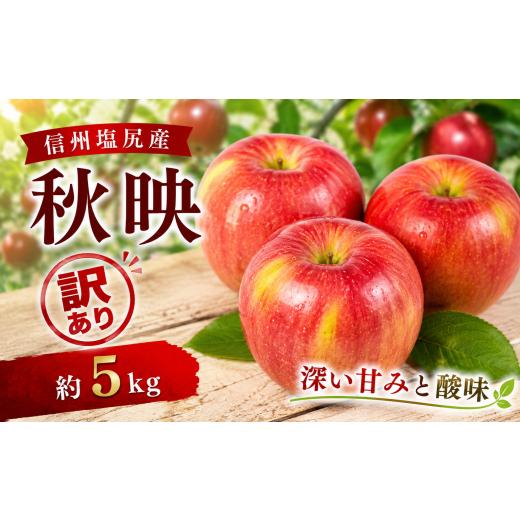 ふるさと納税 りんご 長野県 塩尻市 2026年先行予約 訳あり モモセ果樹園 信州塩尻産 秋映 約5kg | 先行受付 果物 くだもの フルーツ 秋映 りんご 林檎 信州…