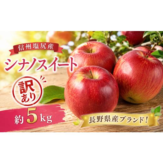 ふるさと納税 りんご 長野県 塩尻市 2026年先行予約 訳あり チョイス限定 モモセ果樹園 信州塩尻産 シナノスイート 約5kg | 先行受付 果物 くだもの フルー…