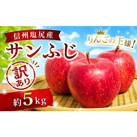 ふるさと納税 りんご 長野県 塩尻市 2026年先行予約 訳あり チョイス限定 モモセ果樹園 信州塩尻産 サンふじ 約5kg | 先行受付 果物 くだもの フルーツ サン…