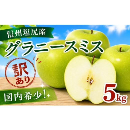 ふるさと納税 りんご 長野県 塩尻市 2026年先行予約 訳あり モモセ果樹園 信州塩尻産 グラニースミス 約5kg | 先行受付 果物 くだもの フルーツ グラニース…