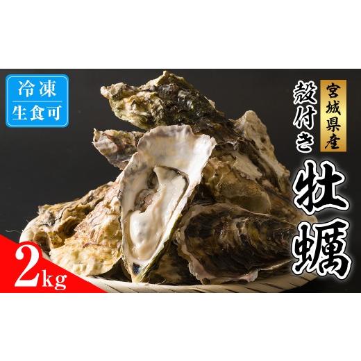 ふるさと納税 牡蠣 生牡蠣 宮城県 登米市 殻付き牡蠣(生食用)冷凍 2kg 生牡蠣 宮城県産 牡蛎 牡蠣 カキ かき 生食 オイスター カキフライ 牡蠣鍋 海鮮 国産 …