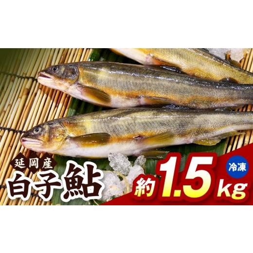 ふるさと納税 川魚 あゆ 宮崎県 延岡市 冷凍 白子鮎約1.5kg N070-YA865-2