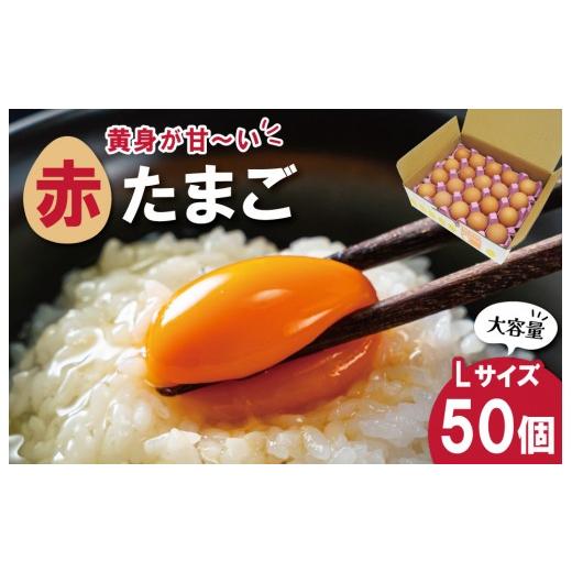 ふるさと納税 卵(鶏、烏骨鶏等) 三重県 明和町 新鮮たまご 赤玉 Lサイズ 50個 明和町 中村養鶏場 卵 たまご 生卵 生たまご 鶏卵 国産 濃厚 ny3