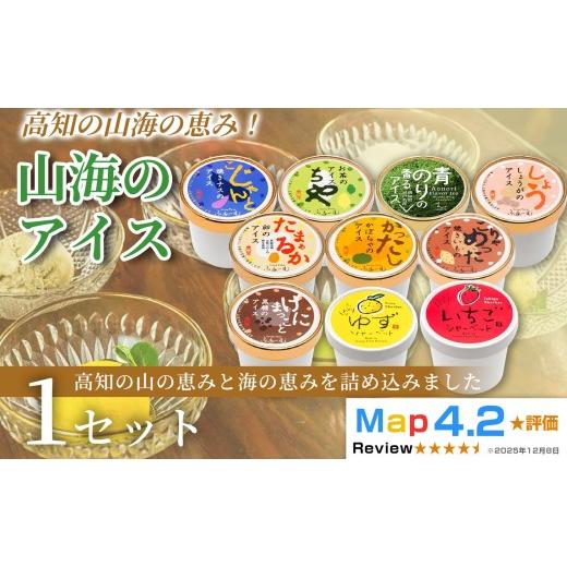 ふるさと納税 菓子 アイス 高知県 安芸市 山海のアイス 100ml×10個 アイスクリーム シャーベットアイス 人気 ご当地アイス 高知県 焼きナス 卵 かぼちゃ 焼き…