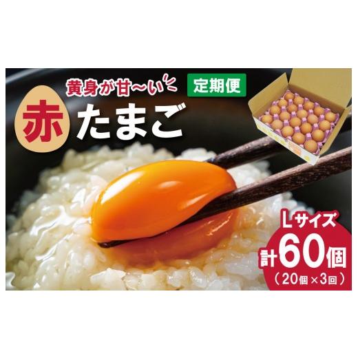 ふるさと納税 卵(鶏、烏骨鶏等) 三重県 明和町 新鮮たまご 赤玉 Lサイズ 20個 3回 定期便 明和町 中村養鶏場 卵 たまご 生卵 生たまご 鶏卵 国産 濃厚 ny4