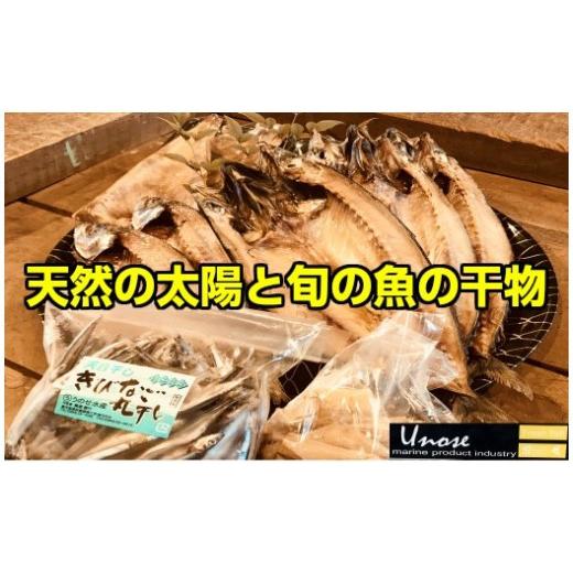 ふるさと納税 旬の鮮魚等 鹿児島県 錦江町 No.1084-2 一代目から続く製法 大満足の旬の干物セット
