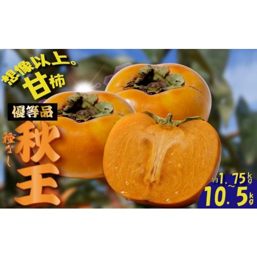 ふるさと納税 柿・栗 福岡県 川崎町 2026年10下旬-11月下旬発送予定 先行予約 福岡県産 博多秋王 優等品 約1.75kg (6玉以上) 先行予約 大人気 人気 たねなし …