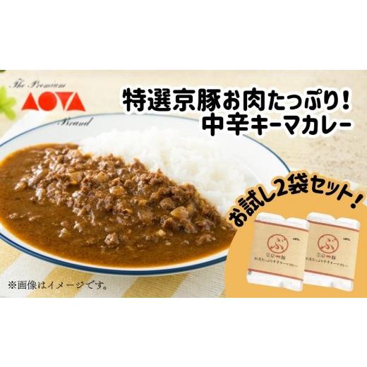 ふるさと納税 加工品等 レトルト 京都府 京都市 青田畜産 特選京豚お肉たっぷり 中辛キーマカレー(2袋)|京都 人気カレーセット 中辛[ 京都府産ブランドポ…
