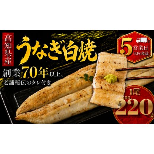 ふるさと納税 加工品等 高知県 南国市 スピード発送 日時指定 可能 高知県産 うなぎ 白焼 1尾 | 国産 日本産 うな重 鰻 ウナギ 有頭 白焼き しらやき 土用丑…
