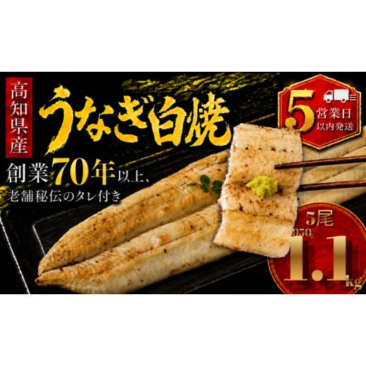 ふるさと納税 うなぎ 高知県 南国市 スピード発送 日時指定 可能 高知県産 うなぎ 白焼 5尾 | 国産 日本産 うな重 鰻 ウナギ 有頭 白焼き しらやき 土用丑の…