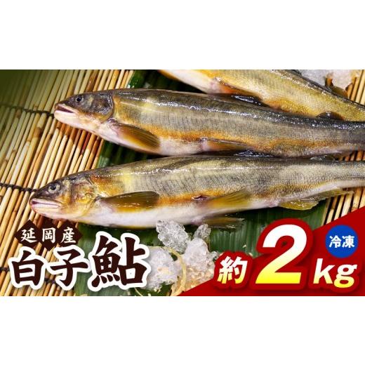 ふるさと納税 川魚 あゆ 宮崎県 延岡市 冷凍 白子鮎約2kg N070-YB358-2