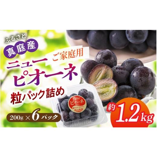 ふるさと納税 果物類 ぶどう 岡山県 真庭市 [パック詰め]岡山の自然がはぐくむピオーネ 約1.2kg beac008-01
